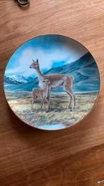 Wandbord : Will Nelson - lama : serie bedreigde diersoorten, Ophalen of Verzenden