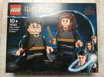 LEGO®️ 76393 Harry Potter & Hermelien Griffel *Nieuw*, Nieuw, Complete set, Ophalen of Verzenden, Lego