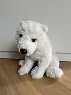 IJsbeer knuffel, 50 cm groot, Ophalen of Verzenden, Zo goed als nieuw, Overige typen