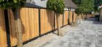 Hout betonsysteem inclusief montage prijs per meter, Overige materialen, 1 tot 2 meter, 6 meter of meer, Nieuw