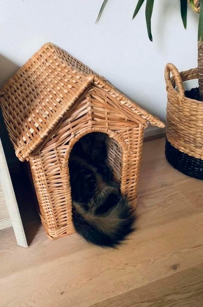 Kattenmand riet, Dieren en Toebehoren, Kattenmanden, Riet, Ophalen of Verzenden