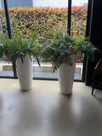 Elho plastic bloempotten 2 stuks, Tuin en Terras, Bloempotten, Ophalen, Kunststof, Rond, Zo goed als nieuw