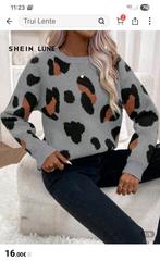 Nieuwe trui M, Kleding | Dames, Truien en Vesten, Ophalen of Verzenden, Zo goed als nieuw, Maat 38/40 (M), Grijs