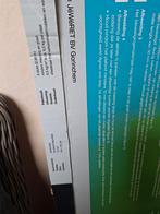 Agnes wand- en plafondpanelen (2 platen), Ophalen, Nieuw