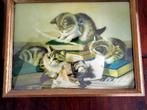 Vintage Katten Print in Lijst, Minder dan 50 cm, Gebruikt, Ophalen of Verzenden, Print