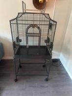 Montana Madeira 1 Antiek incl extra bakjes 69x45x141 cm., Ophalen, Zo goed als nieuw, Metaal, Vogelkooi