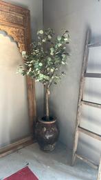 Kunst Eucalyptus boom, Ophalen of Verzenden