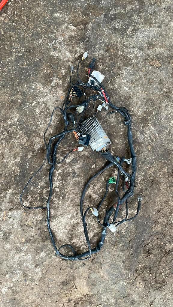 Gilera runner kabelboom, Motoren, Tuning en Styling, Ophalen of Verzenden