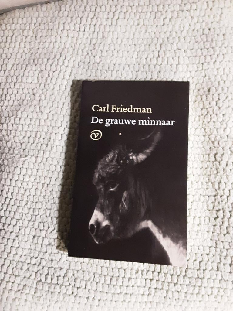Carl Friedman------DE grauwe minnaar, Europa overig, Carl Friedman, Ophalen of Verzenden, Zo goed als nieuw