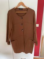 Vest van Netwalk, Kleding | Dames, Grote Maten, Ophalen of Verzenden, Zo goed als nieuw, Trui of Vest