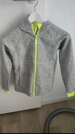 Softshell jasje maat 134/140, Kinderen en Baby's, Kinderkleding | Maat 134, Ophalen of Verzenden, Zo goed als nieuw, Meisje, Jas