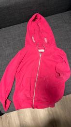 Vest next maat 128, Gebruikt, Meisje, Trui of Vest, Ophalen of Verzenden