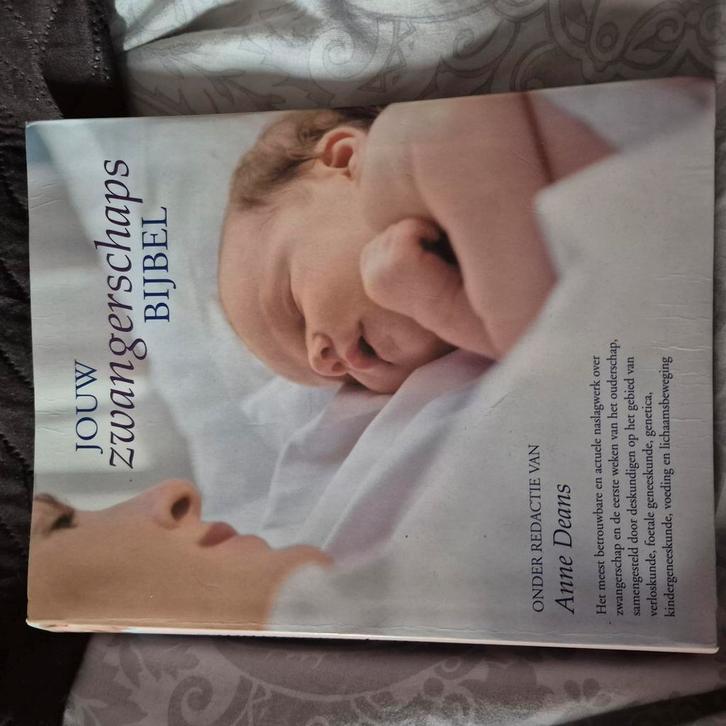 Zgan boek over de zwangerschap; Jouw zwangerschapsbijbel, Boeken, Zwangerschap en Opvoeding, Zo goed als nieuw, Zwangerschap en Bevalling