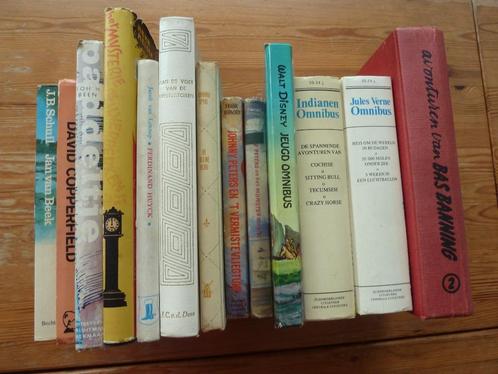 Klassieke jeugdboeken o.a. Schuil, Jules Verne vanaf E. 0,75, Boeken, Kinderboeken | Jeugd | 10 tot 12 jaar, Gelezen, Ophalen of Verzenden