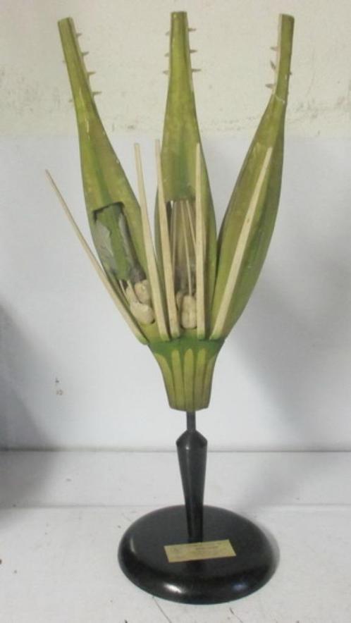 antiek botanisch model van rogge Osterloh 1AB, Antiek en Kunst, Curiosa en Brocante, Verzenden