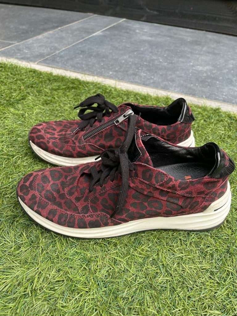 Dames sneakers / sportschoenen rood leopard Red Rag mt 41, Ophalen of Verzenden, Sneakers of Gympen, Gedragen, Rood