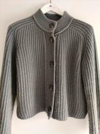 Luxe vestje van het merk FFC, Kleding | Dames, Truien en Vesten, Ophalen of Verzenden, Zo goed als nieuw, Grijs