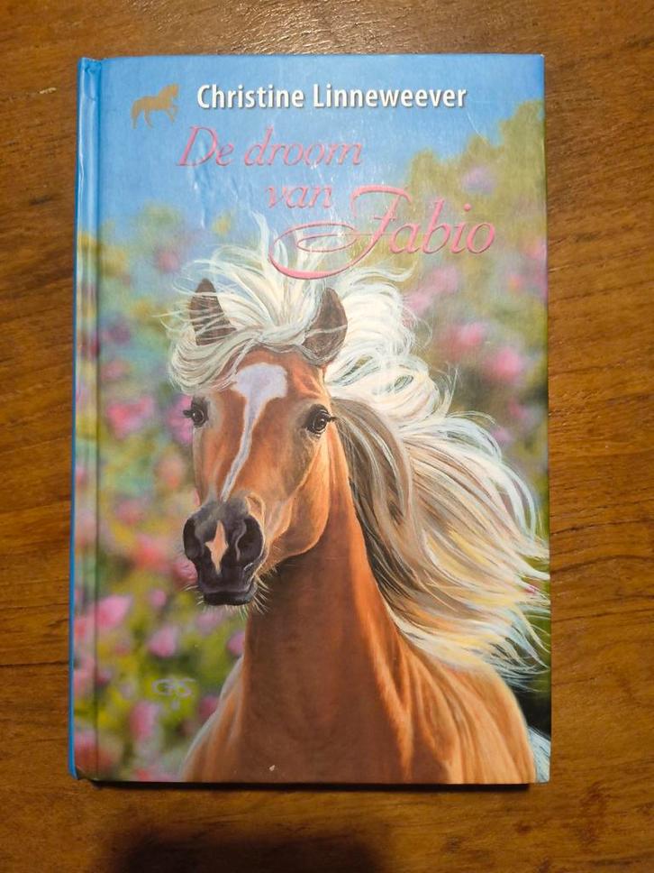 De droom van Fabio, Boeken, Kinderboeken | Jeugd | 10 tot 12 jaar, Gelezen, Fictie, Ophalen of Verzenden