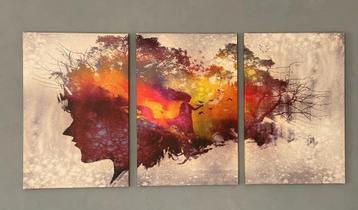 Set van 3 kleurrijke canvas schilderijen beschikbaar voor biedingen