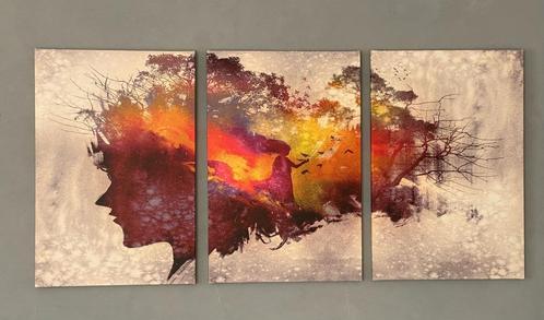 Set van 3 kleurrijke canvas schilderijen, Huis en Inrichting, Woonaccessoires | Schilderijen, Tekeningen en Foto's, Zo goed als nieuw