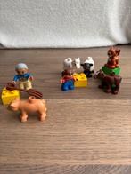 Lego Duplo Dierenverzorging 5646 en set biggetje 5643, Kinderen en Baby's, Speelgoed | Playmobil, Ophalen of Verzenden, Gebruikt