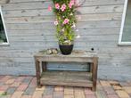 Sidetable 120x40x70 cm - Koopje!, Gebruikt, 100 tot 150 cm, Ophalen of Verzenden, Landelijk