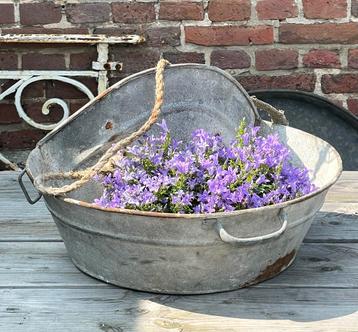 Brocante oud zinken zaaibak  beschikbaar voor biedingen