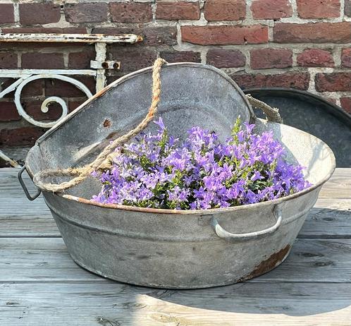 Brocante oud zinken zaaibak, Antiek en Kunst, Curiosa en Brocante, Ophalen of Verzenden
