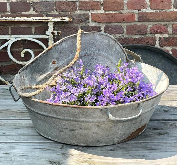 Brocante oud zinken zaaibak, Antiek en Kunst, Curiosa en Brocante, Ophalen of Verzenden