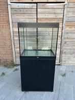 Juwel Rio 200 met veel toebehoren, Ophalen, Gebruikt, Leeg aquarium