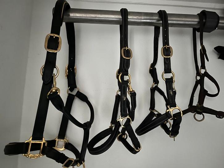 Leren Kieffer halster maat Full, leren maat cob, pony enz, Dieren en Toebehoren, Paarden en Pony's | Hoofdstellen en Tuigage, Zo goed als nieuw