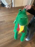 Drakenpak, Ophalen, Gebruikt, Jongen of Meisje