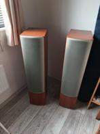 Infinity Beta 50 luidsprekers, Audio, Tv en Foto, Luidsprekers, Gebruikt, 120 watt of meer, Front, Rear of Stereo speakers, Ophalen