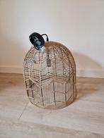 Hanglamp touw kwantum, Huis en Inrichting, Ophalen, Zo goed als nieuw, 50 tot 75 cm
