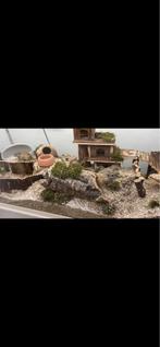 Terrarium met 3 gerbils en accesoires, Dieren en Toebehoren, Overige typen, Hamster, Ophalen, Minder dan 60 cm