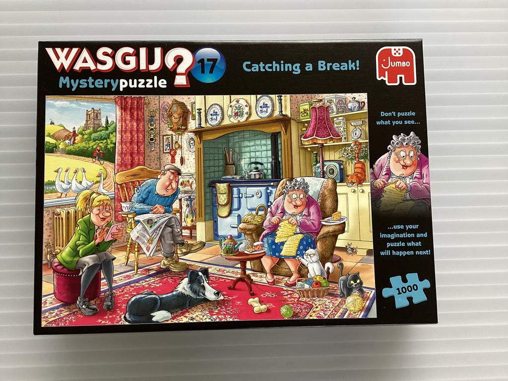 Wasgij Mystery 17. Catching a Break!, Ophalen of Verzenden, 500 t/m 1500 stukjes, Zo goed als nieuw