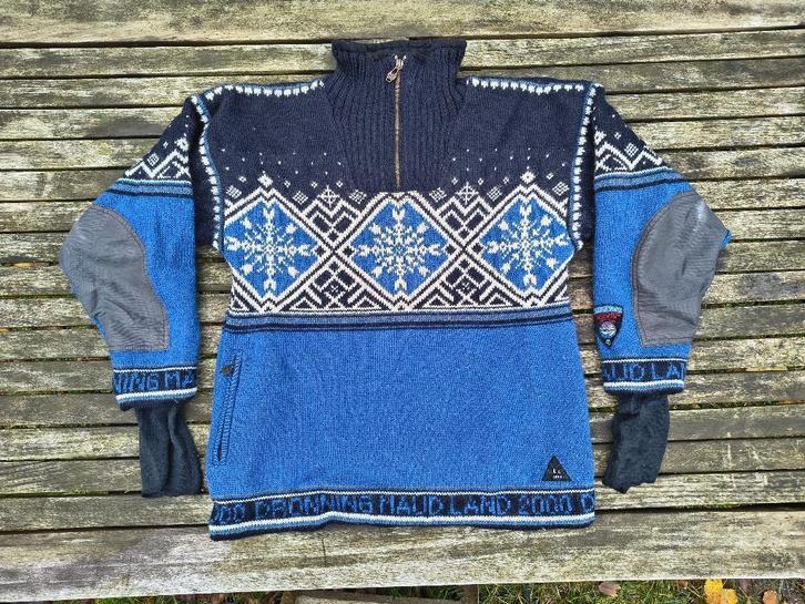 Dale of Norway Antarctic Polarwind S, Kleding | Heren, Truien en Vesten, Zo goed als nieuw, Maat 46 (S) of kleiner, Blauw, Verzenden