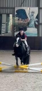 Verzorgpony gezocht!, Ophalen of Verzenden, Nieuw, Springen