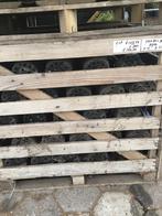 Gebruikte teeltpotten diverse maten, Ophalen, Kunststof, Gebruikt, Rond