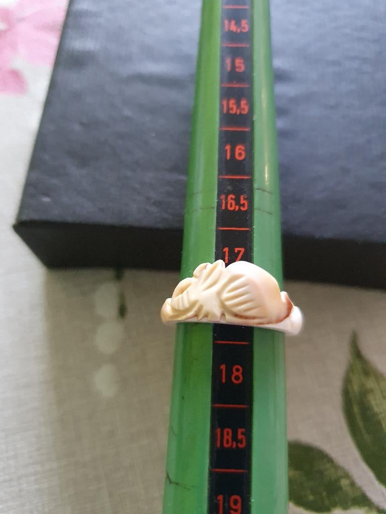 ringen van schelp, Wit, Nieuw, Ophalen of Verzenden, 17 tot 18
