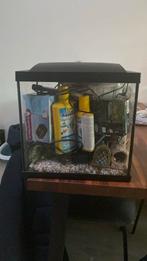 Aquarium 50 L met alle spullen., Dieren en Toebehoren, Vissen | Aquaria en Toebehoren, Ophalen, Zo goed als nieuw, Leeg aquarium
