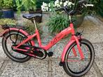 Meisjesfiets Alpina 20 inch – Degelijk en vrolijk, Fietsen en Brommers, Fietsen | Kinderfietsjes, Ophalen of Verzenden, Gebruikt