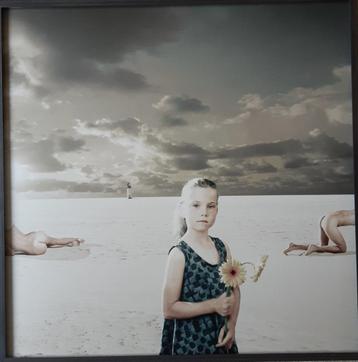 foto Jorgen Polman beschikbaar voor biedingen
