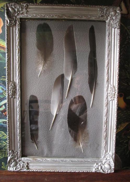 Brocante Vintage Zilver Lijstje met Veren 39,5 x 26, Antiek en Kunst, Curiosa en Brocante, Ophalen of Verzenden