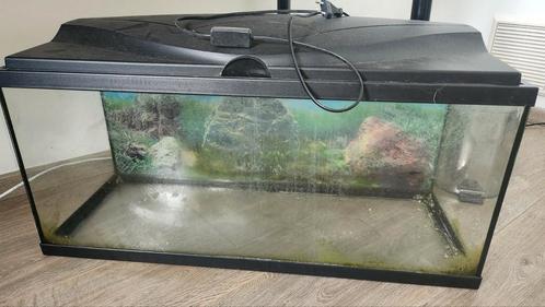 Aquarium, Dieren en Toebehoren, Vissen | Aquaria en Toebehoren, Zo goed als nieuw, Leeg aquarium, Ophalen
