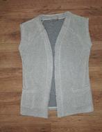 Bodywarmer Teddy Dreamstar, Kleding | Dames, Bodywarmers, Ophalen of Verzenden, Zo goed als nieuw, Maat 38/40 (M)
