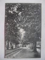 P73 Rossum Gld. - Slotschelaan - 1908, Verzenden, Voor 1920, Gelopen, Gelderland