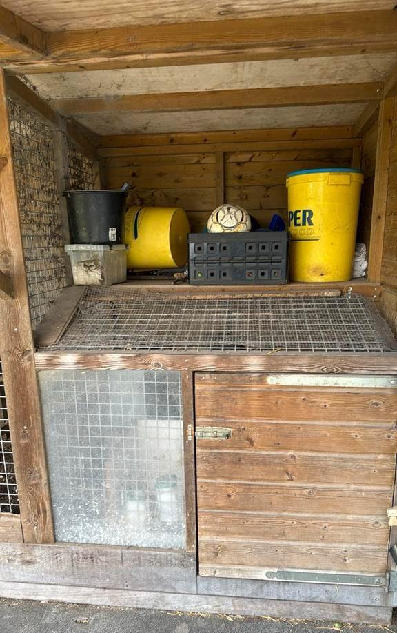 Groot kippenhok 5 meter lang en 130 diep, Dieren en Toebehoren, Pluimvee | Toebehoren, Kippenhok of Kippenren, Ophalen