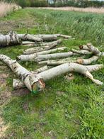 Kachelhout populier brandhout, Stammen, Minder dan 3 m³, Ophalen, Overige houtsoorten