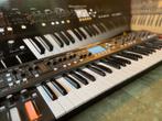 Behringer Deepmind 12 incl. softbag, Muziek en Instrumenten, Zo goed als nieuw, Met koffer of flightcase, Ophalen, 49 toetsen
